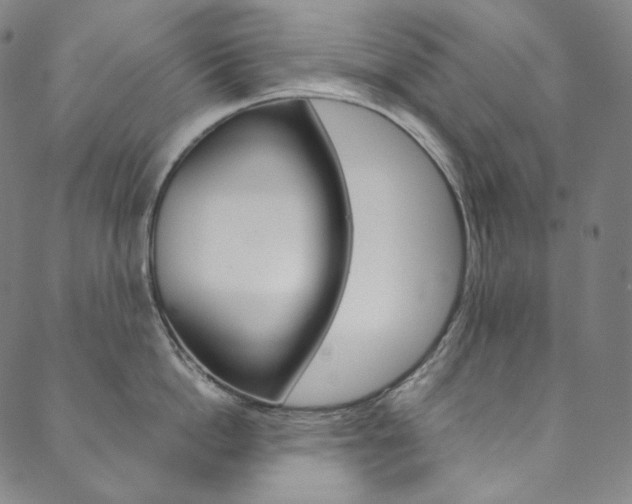 X0000090600862200707171107