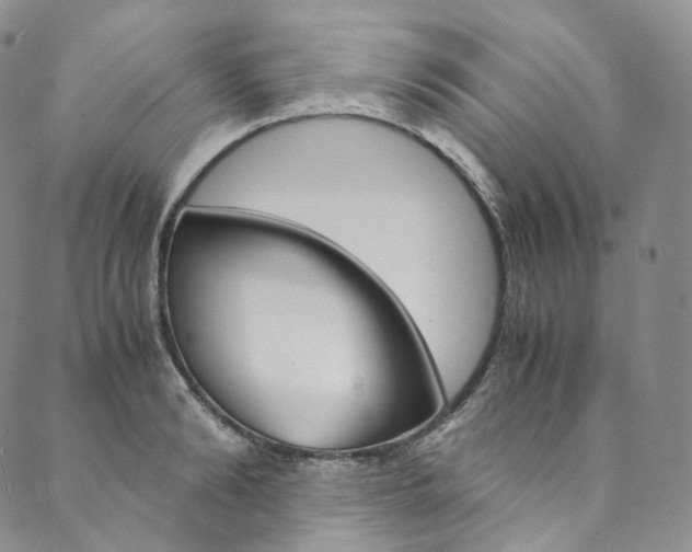 X0000090600894200707171105