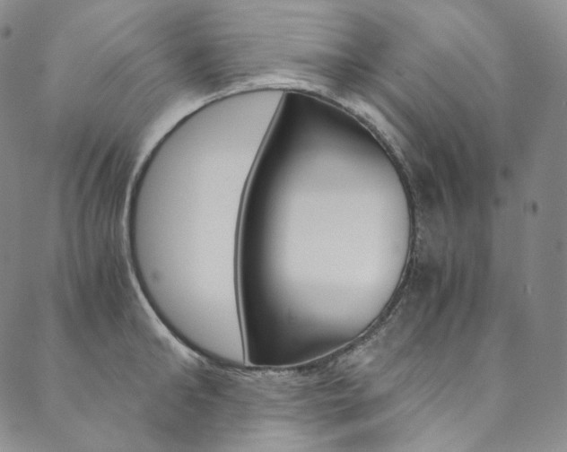 X0000090600902200707171105