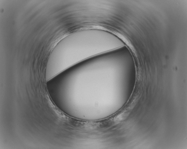 X0000090600905200707171105