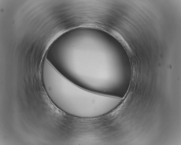 X0000090600908200707171105