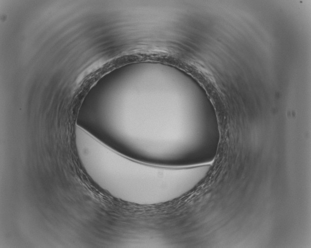 X0000090600920200707171105