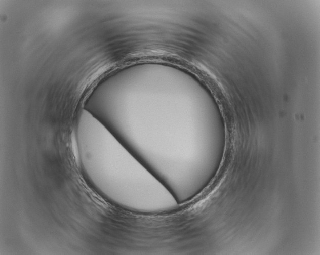 X0000090600921200707171105