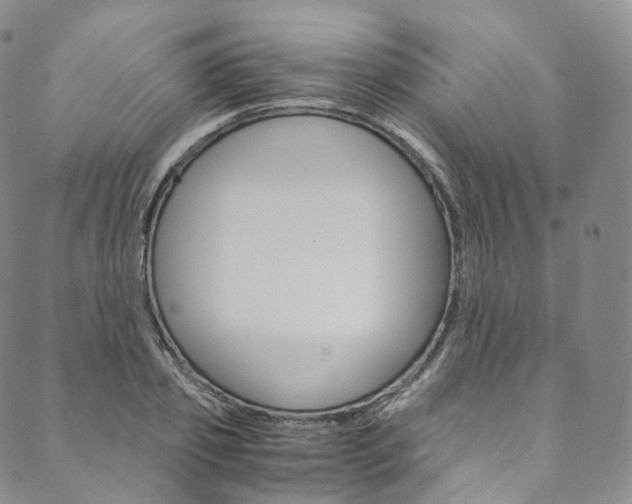 X0000090600933200707171105