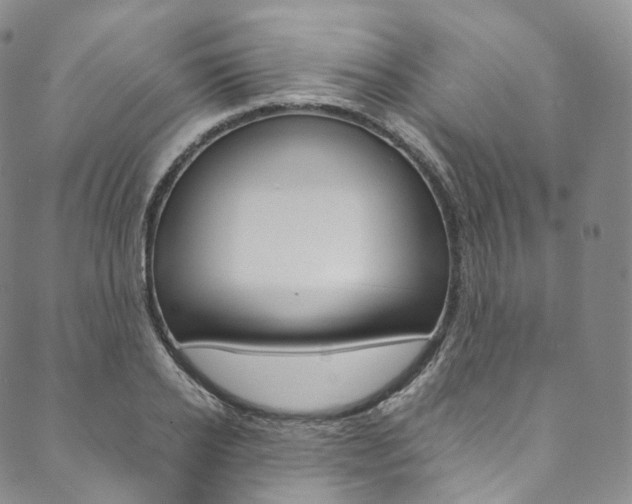 X0000090600934200707171105