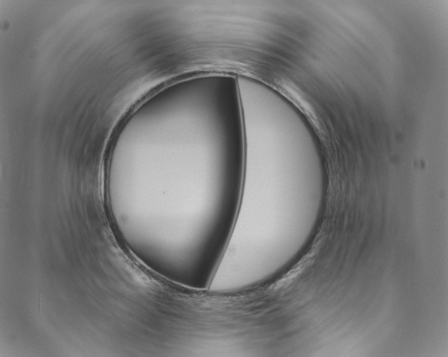 X0000090600940200707171105