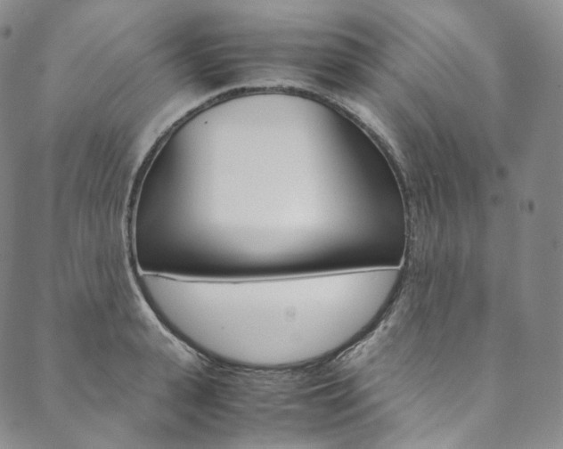 X0000090600943200707171105