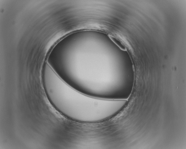 X0000090600944200707171105