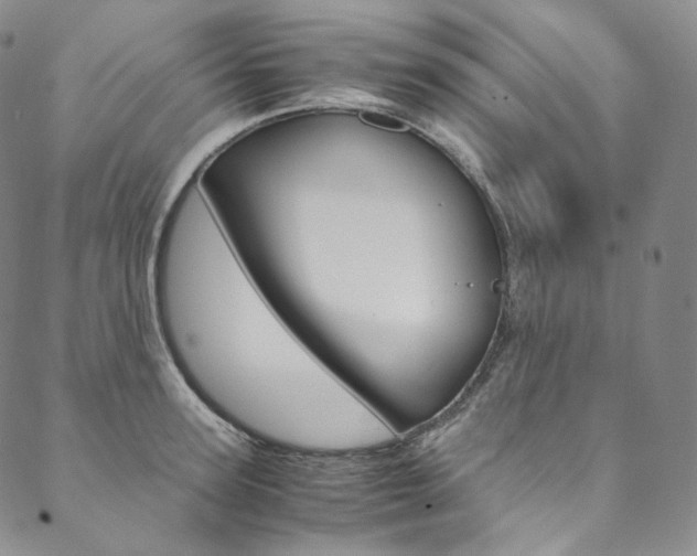 X0000090600947200707171105