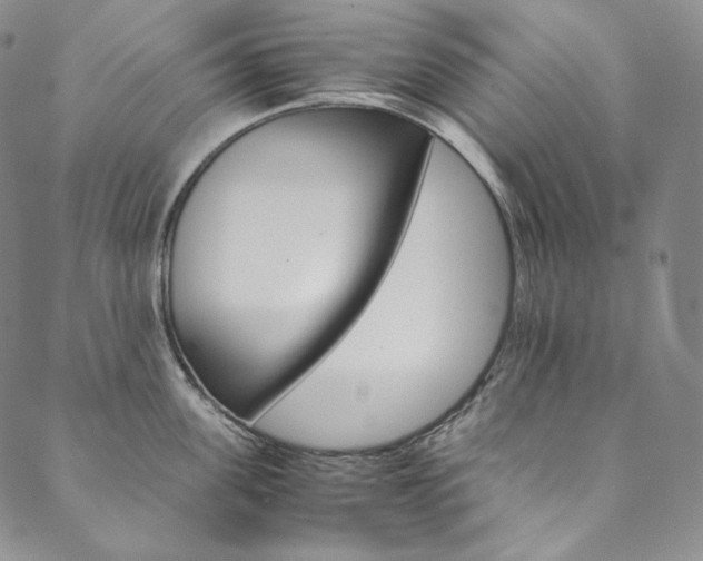 X0000090600955200707171105