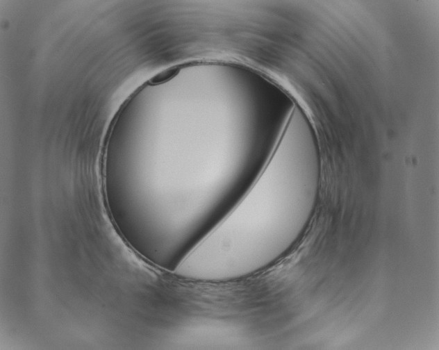 X0000090600959200707171105