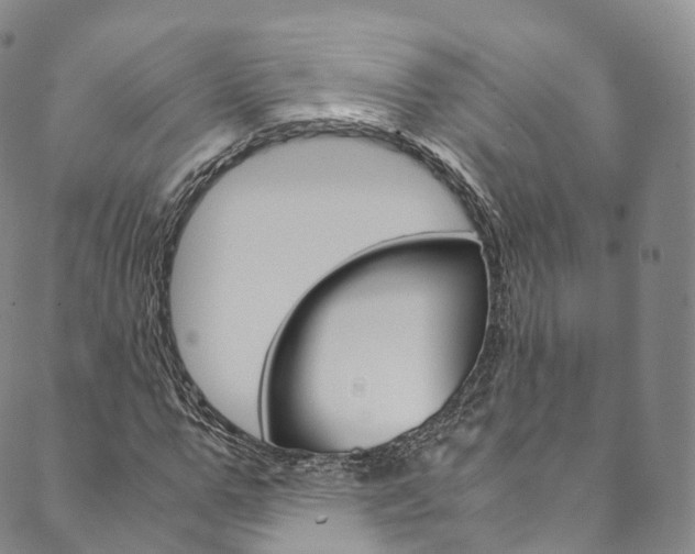 X0000090600967200707171104