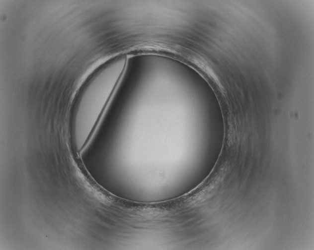 X0000090600984200707171104