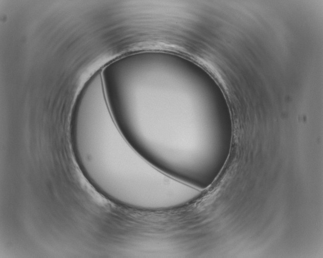 X0000090600995200707171104