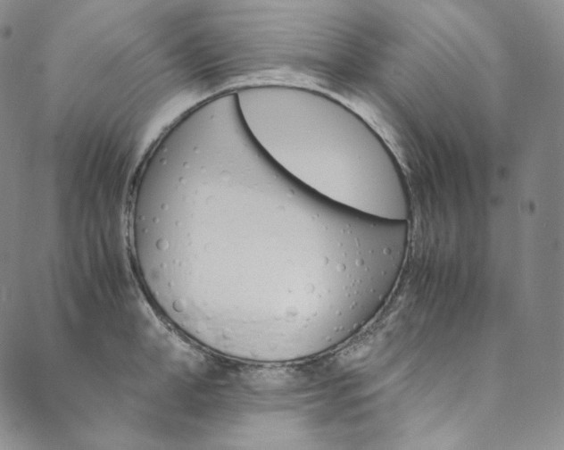 X0000090600998200707171104