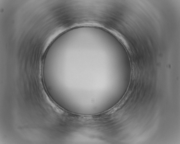 X0000090601006200707171104