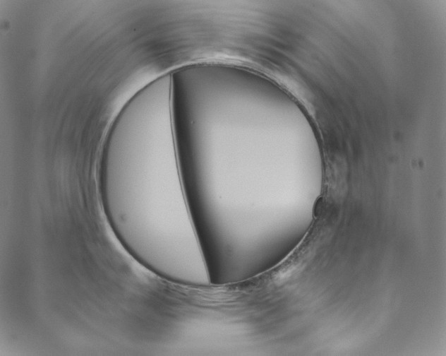 X0000090601007200707171104
