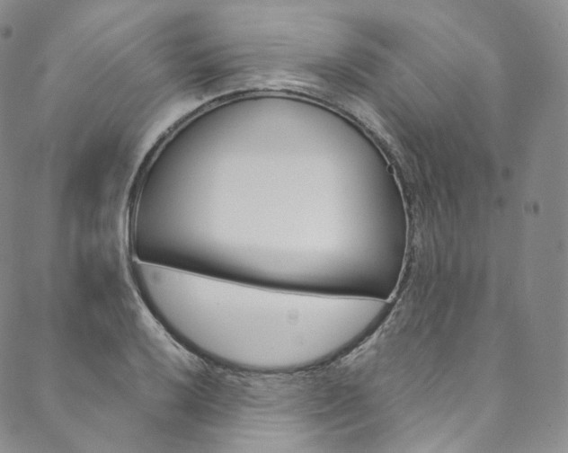 X0000090601032200707171103