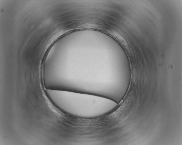 X0000090601039200707171103