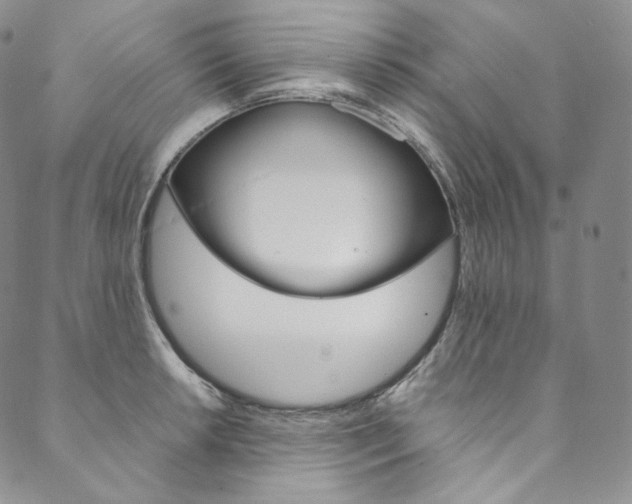 X0000090601042200707171103