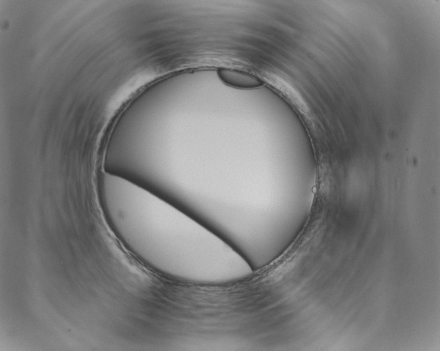 X0000090601043200707171103