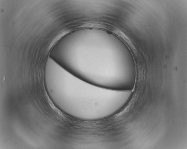 X0000090601049200707171104