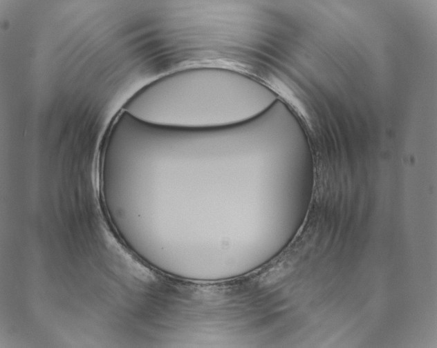 X0000090601084200707171102