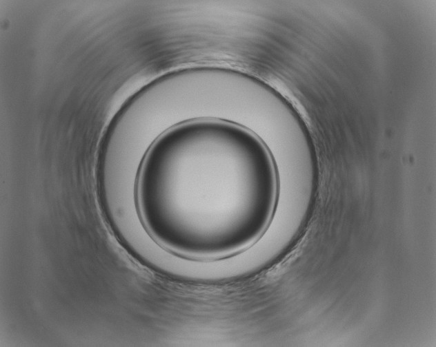 X0000090601085200707171102