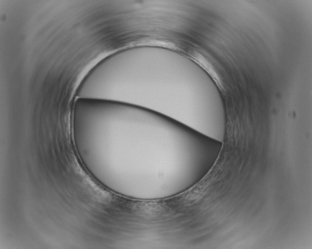 X0000090601092200707171102