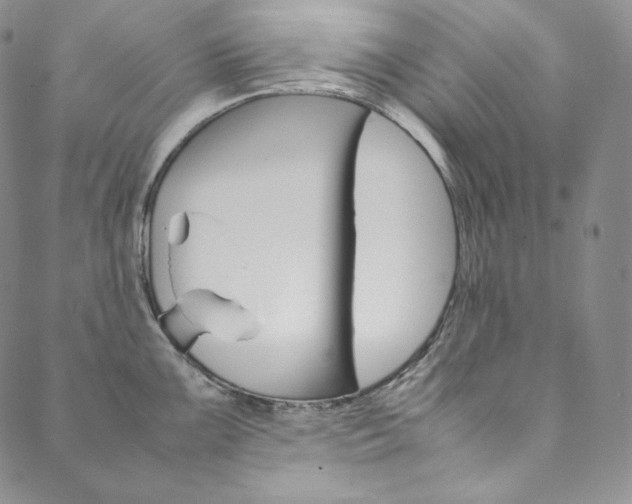 X0000090601099200707171102