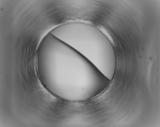 X0000090601100200707171102