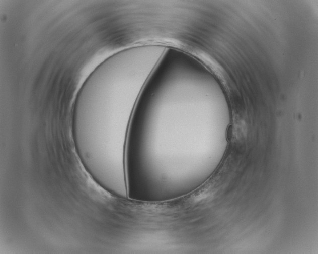 X0000090601102200707171102
