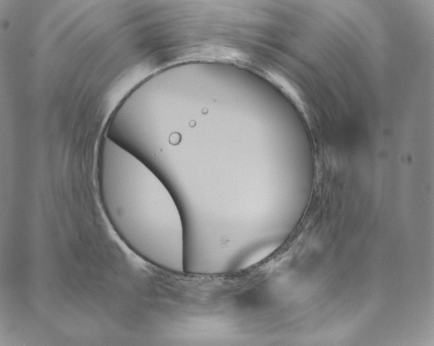 X0000090601103200707171102