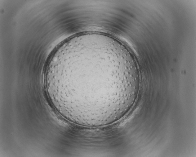 X0000090601125200707171102