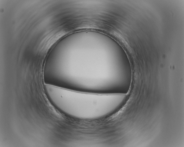 X0000090601129200707171102