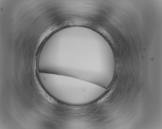 X0000090601130200707171102