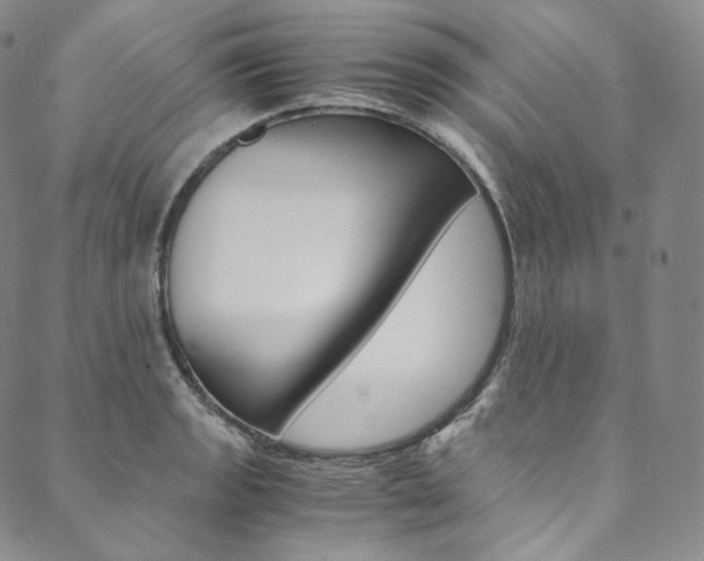 X0000090601133200707171102