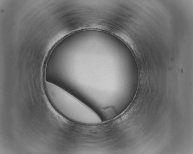 X0000090601135200707171102