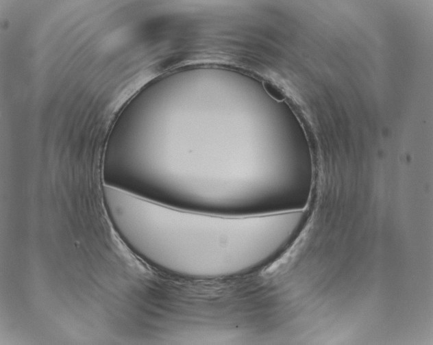 X0000090601137200707171102