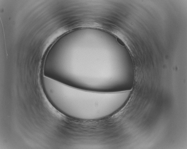X0000090601139200707171102