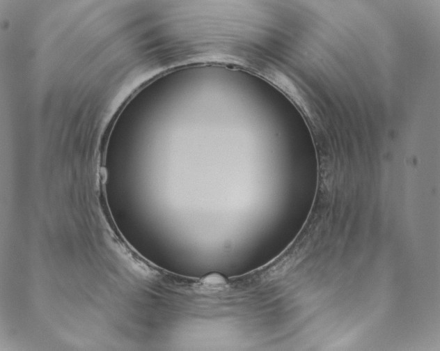 X0000090601140200707171102