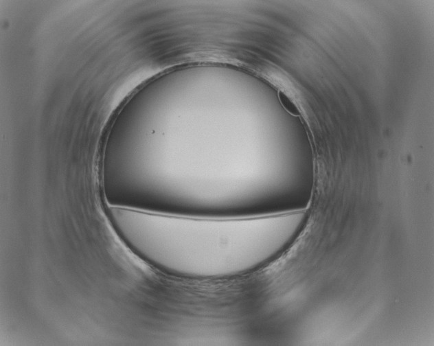 X0000090601141200707171102