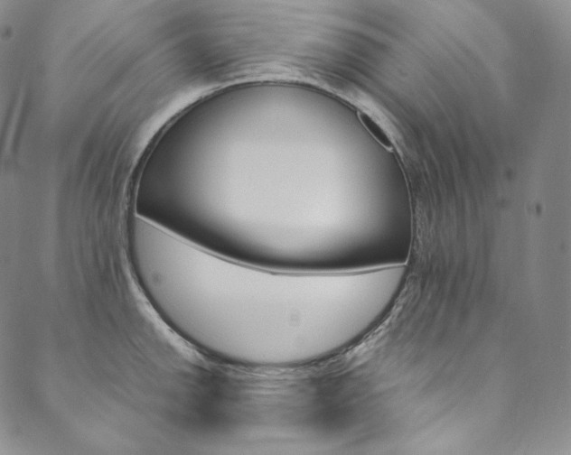 X0000090601142200707171102
