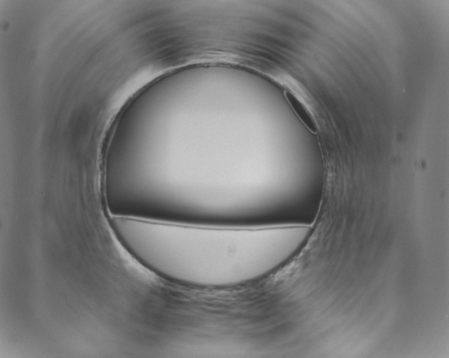 X0000090601143200707171102