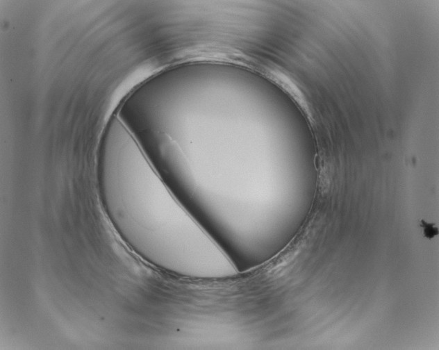 X0000090601146200707171102