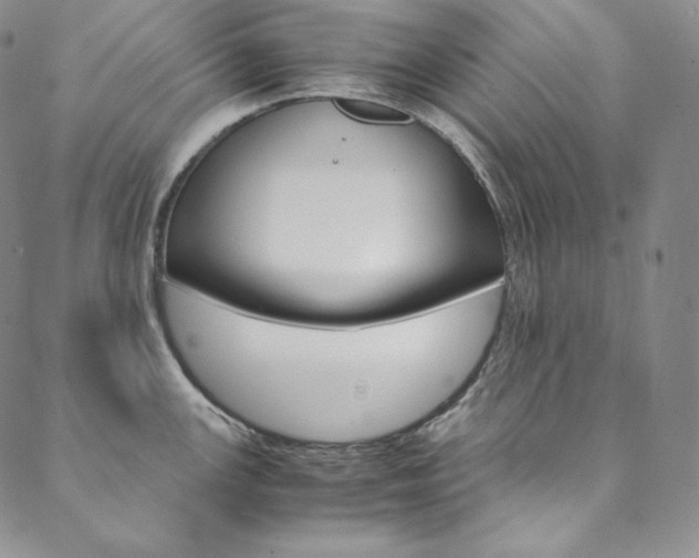 X0000090601147200707171102