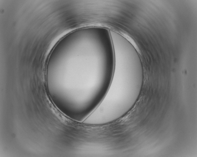 X0000090601148200707171102