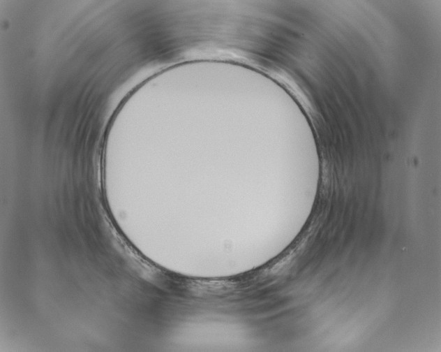 X0000090601150200707171102