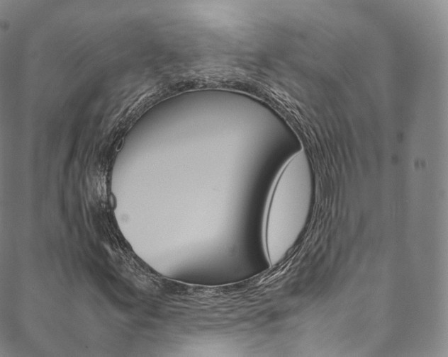 X0000090601155200707171101