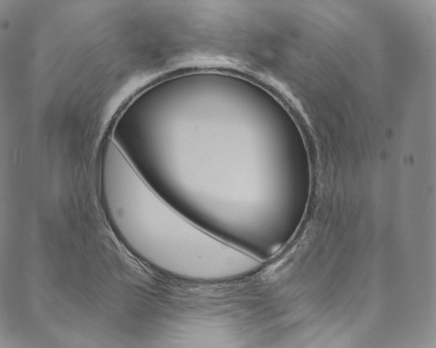 X0000090601175200707171101